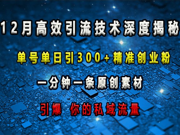 12月高效引流技术深度揭秘 ，单号单日引300+精准创业粉，一分钟一条原创素材，引爆你的私域流量