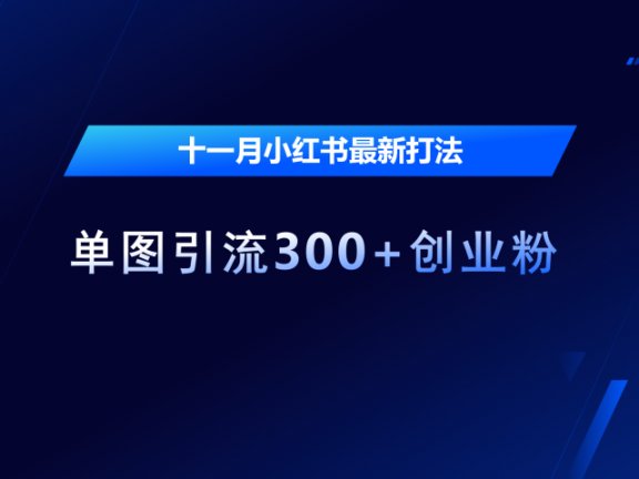 十一月，小红书最新打法，单图引流300+创业粉