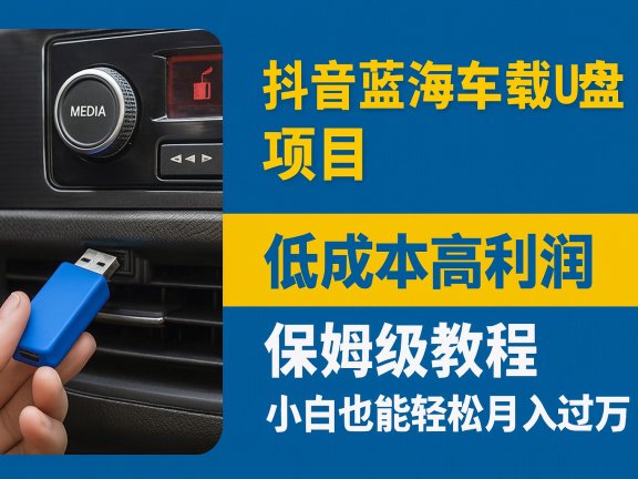 抖音蓝海车载U盘项目，低成本高利润保姆级教程，小白也能轻松月入过万