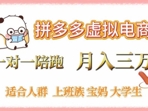 拼多多虚拟电商，一对一陪跑，月入3万，0囤货，轻资产，不发货